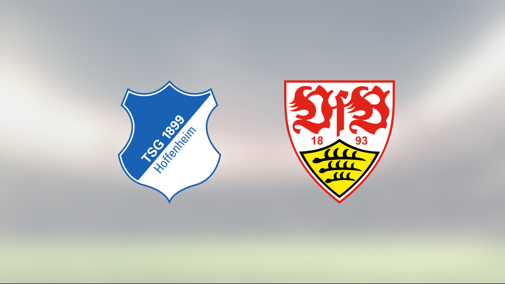 Hoffenheim lyfte sig i andra och fixade kryss hemma mot VfB Stuttgart