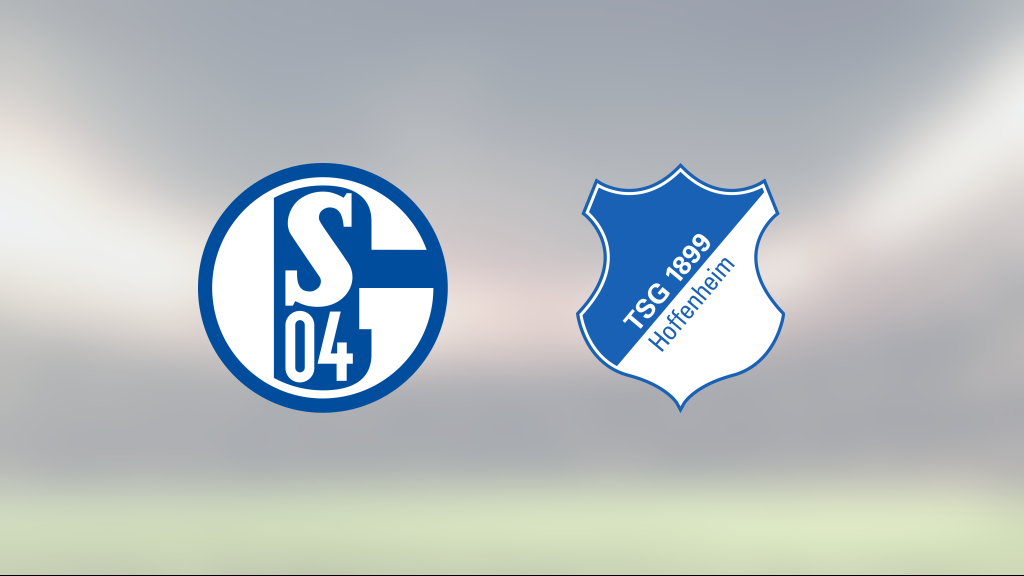 4-0 mot Hoffenheim innebär första segern för Schalke 04