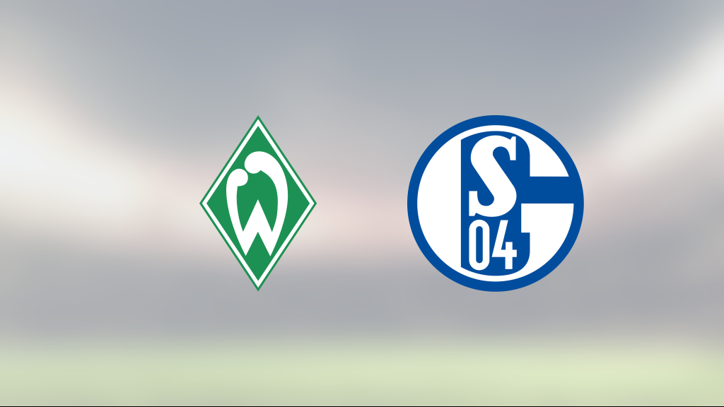 Kevin Möhwald räddade poäng när Werder Bremen kryssade mot Schalke 04