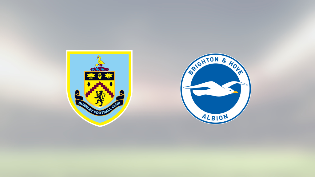 Johann Gudmundsson poängräddare för Burnley mot Brighton