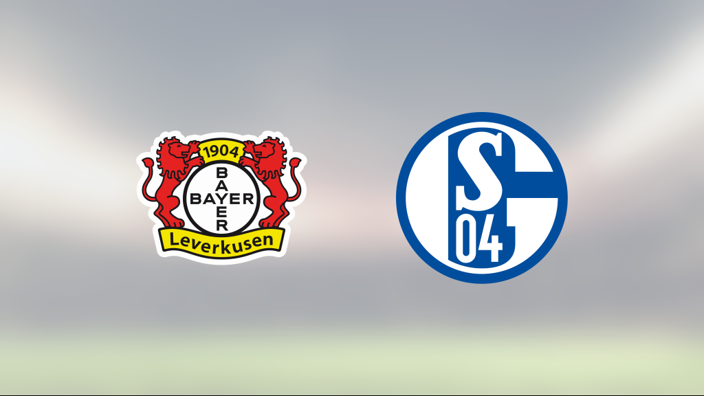 Lucas Alario och Patrik Schick avgjorde när Bayer Leverkusen slog Schalke 04