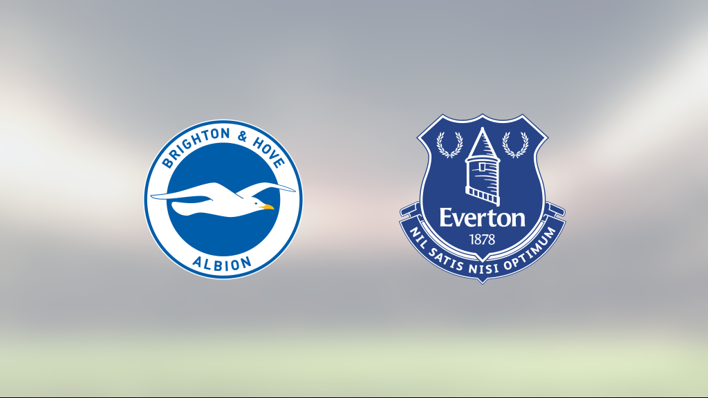 Mållöst mellan Brighton och Everton på The Amex