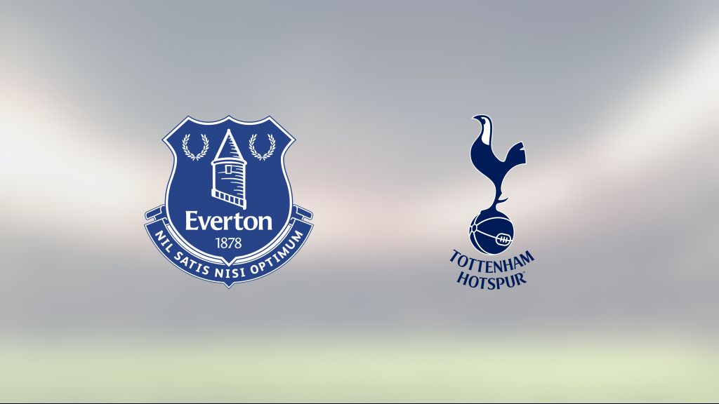 Delad pott för Everton och Tottenham