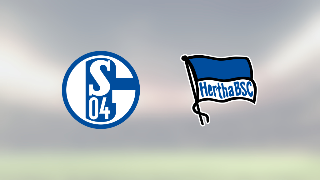 Dedryck Boyata och Jessic Ngankam avgjorde när Hertha Berlin slog Schalke 04