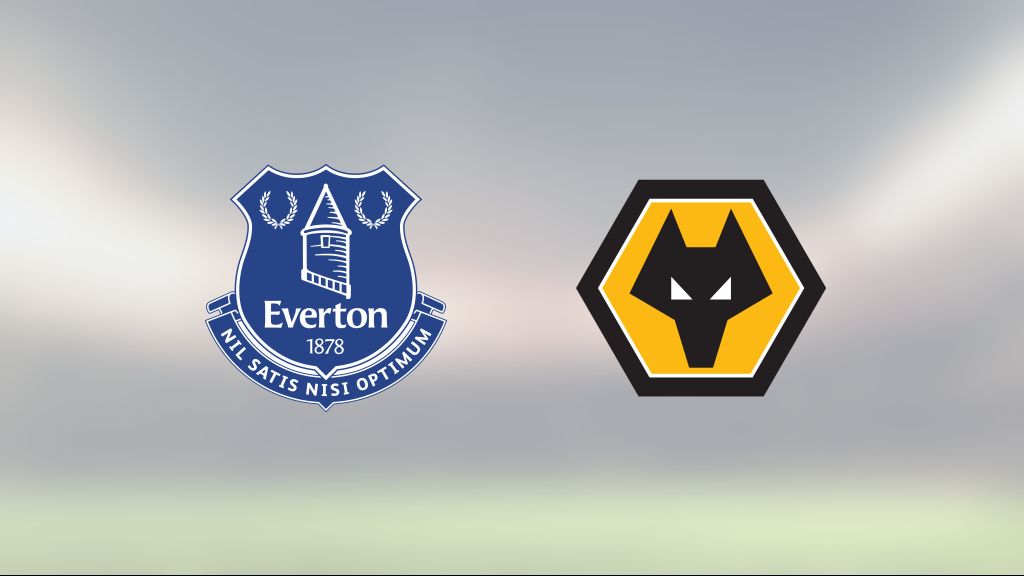 1–0-seger för Everton mot Wolverhampton – Richarlison matchhjälte