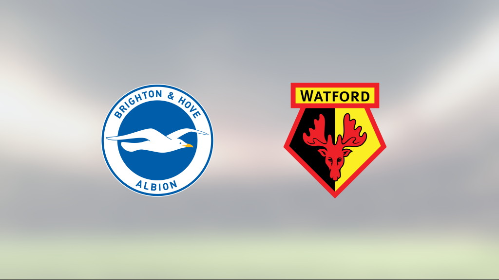 Brightons Shane Duffy och Neal Maupay sänkte Watford