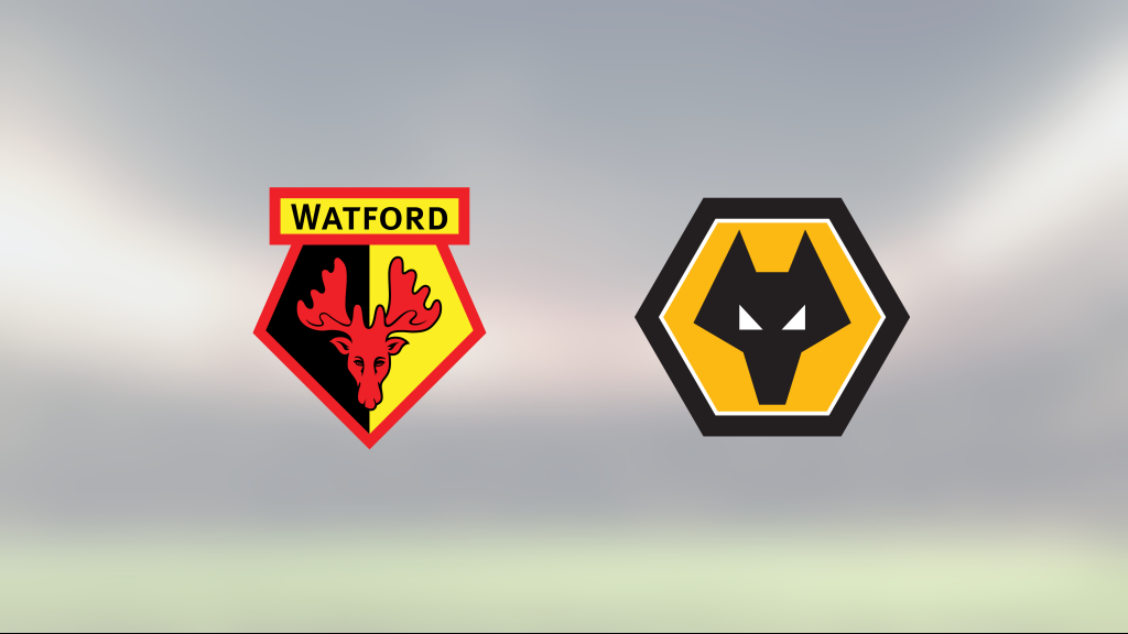 Wolverhamptons Hee-chan Hwang och Francisco Sierralta sänkte Watford