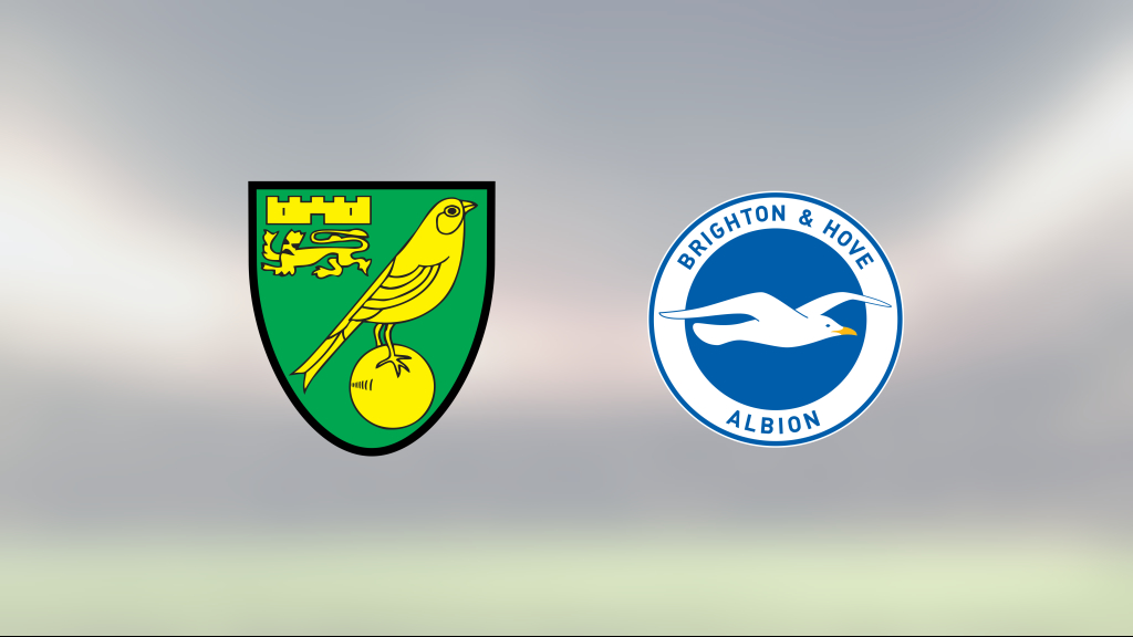 Norwich City och Brighton kryssade i mållös match