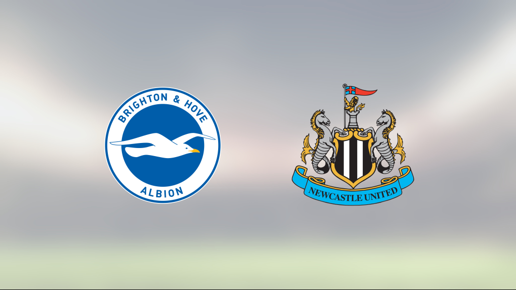 Isaac Hayden räddade poäng när Newcastle kryssade mot Brighton