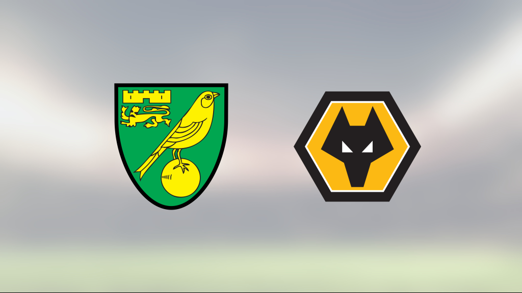 Mållöst när Norwich City tog emot Wolverhampton