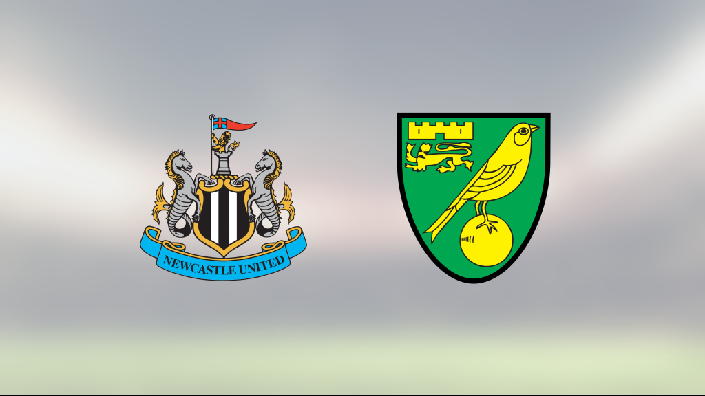 Newcastle och Norwich City delade på poängen efter 1-1