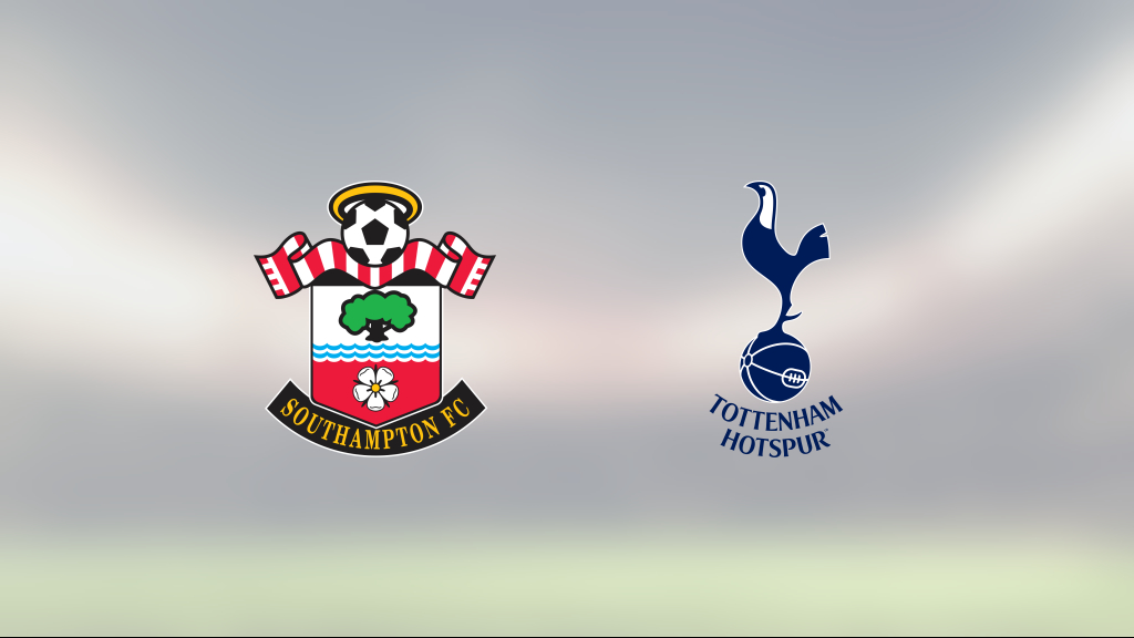 Delad pott för Southampton och Tottenham