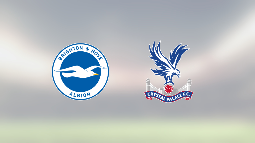 Delad pott när Brighton & Hove Albion tog emot Crystal Palace