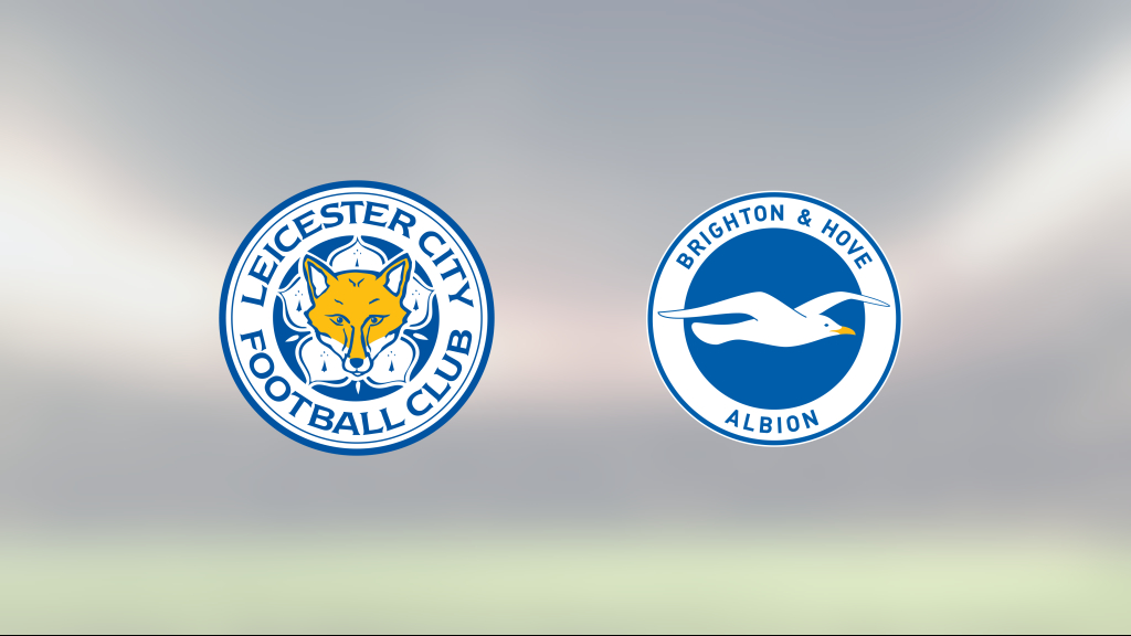 Delad pott när Leicester tog emot Brighton & Hove Albion