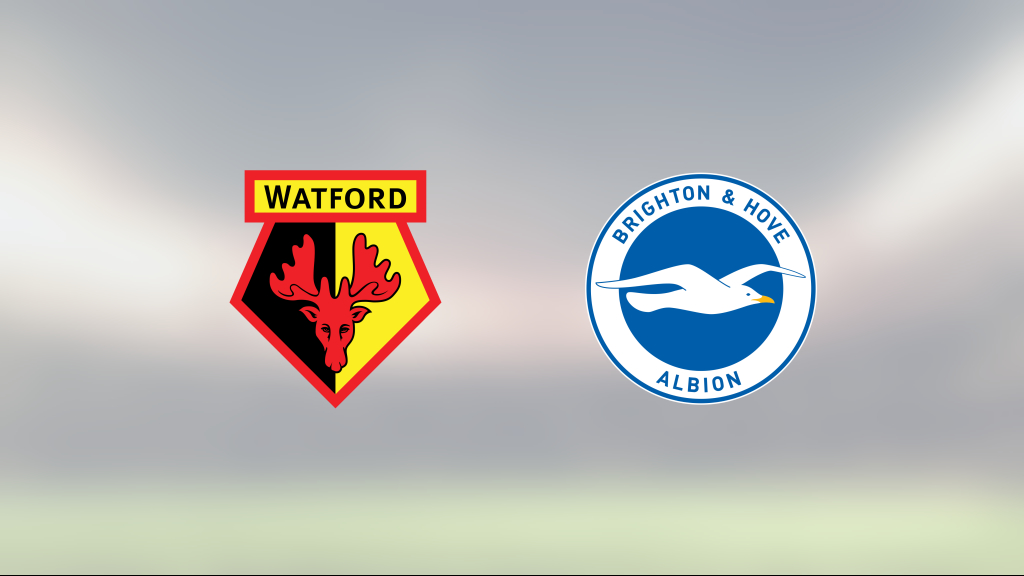 Neal Maupay och Adam Webster matchvinnare när Brighton & Hove Albion vann mot Watford