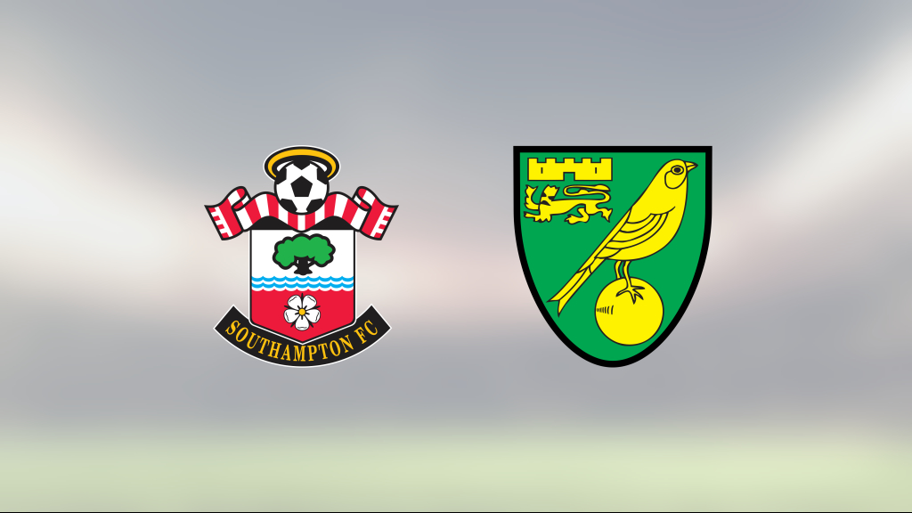 Che Adams och Oriol Romeu matchvinnare när Southampton vann mot Norwich City