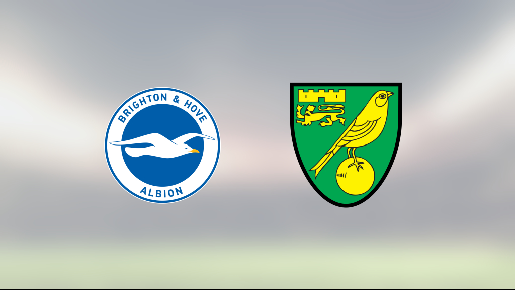 Efter förlustraden: Poäng igen för Brighton & Hove Albion – 0-0 mot Norwich City