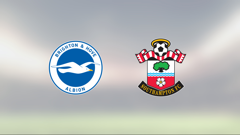 Southampton lyfte sig i andra och fixade kryss borta mot Brighton & Hove Albion