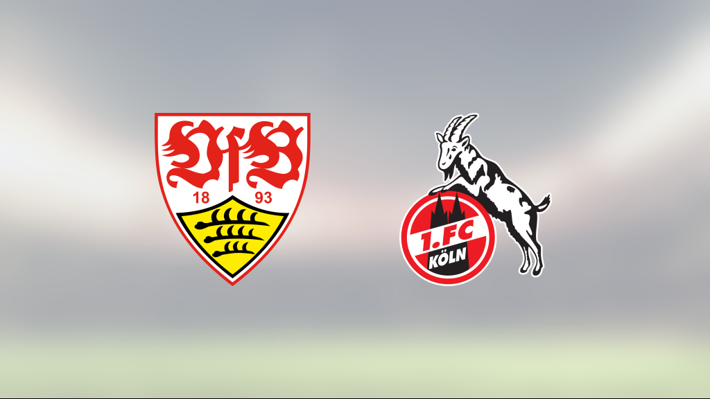 Wataru Endo och Sasa Kalajdzic heta när VfB Stuttgart slog FC Köln