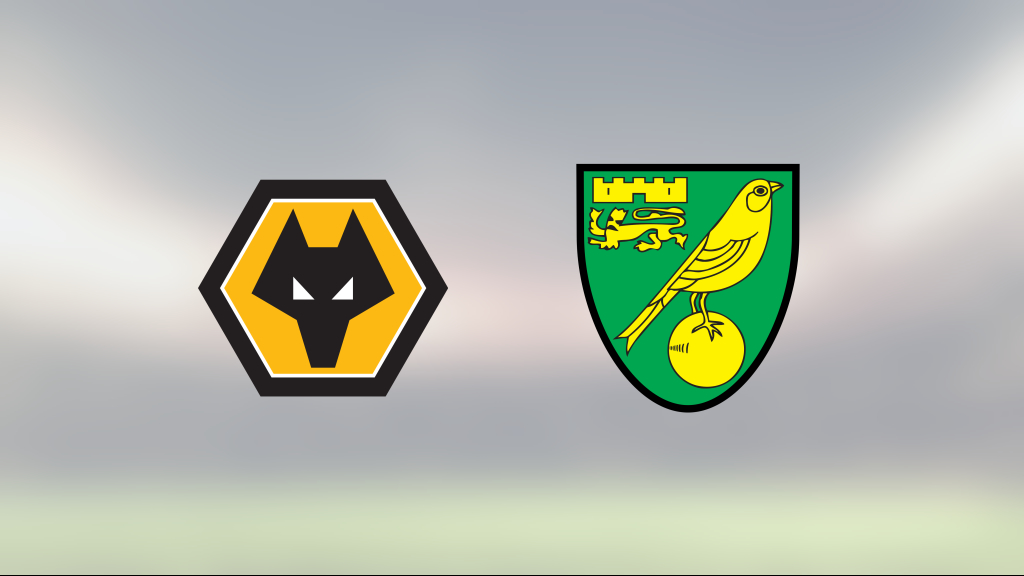 Rayan Ait-Nouri poängräddare för Wolverhampton mot Norwich City