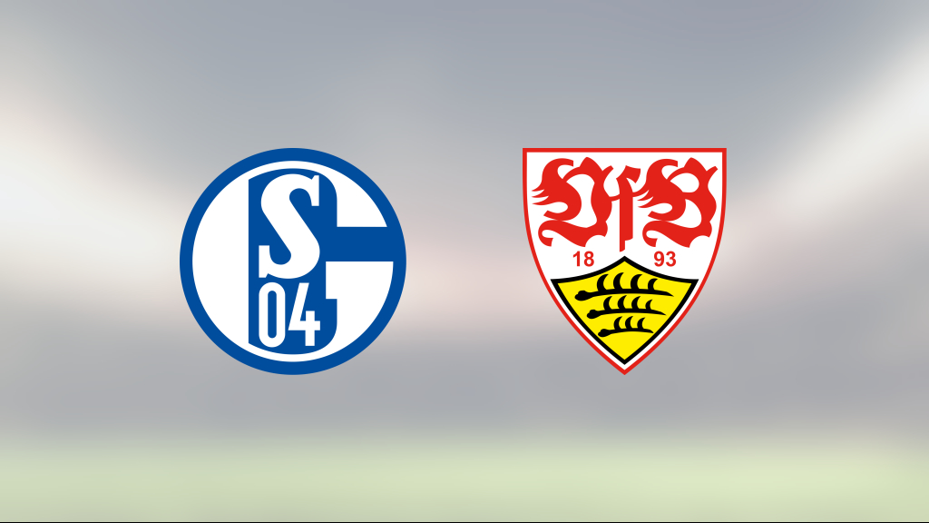 Nicolas Gonzalez räddade poäng när VfB Stuttgart kryssade mot Schalke 04