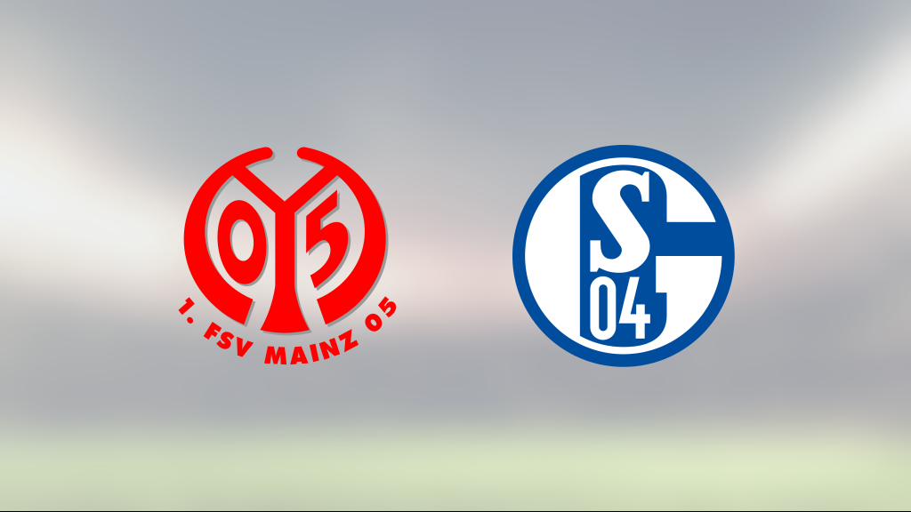 Efter förlustraden: Poäng igen för Mainz – 2–2 mot Schalke 04