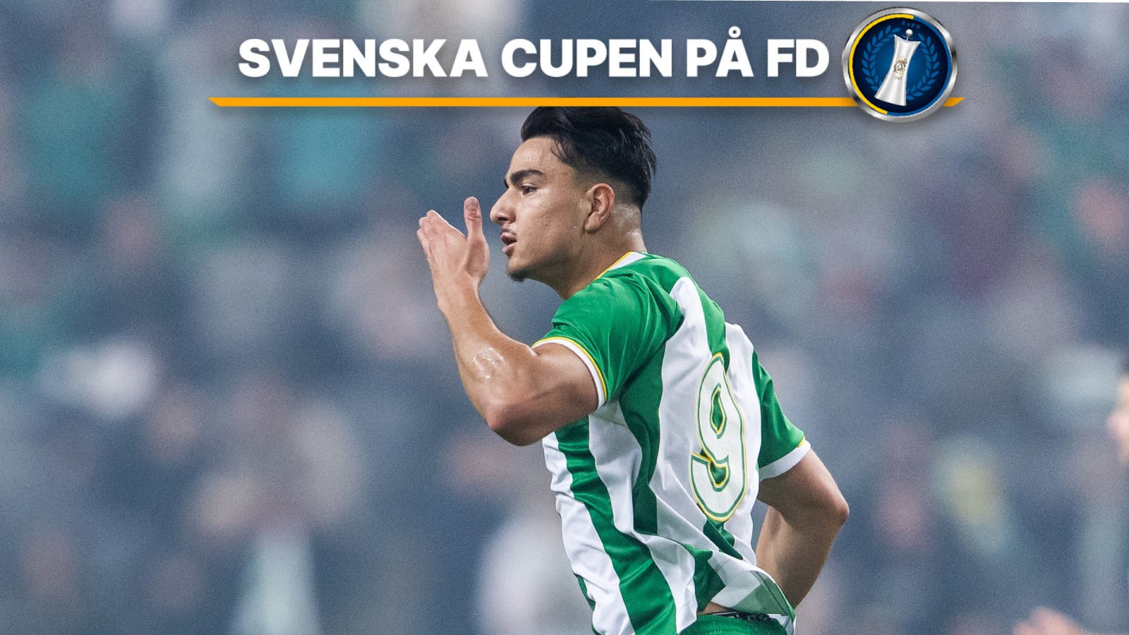 Hammarby – GIF Sundsvall