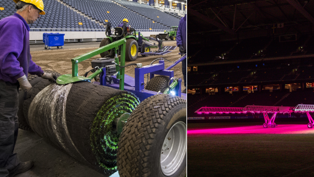 Trodde ni gräsdramatiken på Friends arena var över? Tänk om!