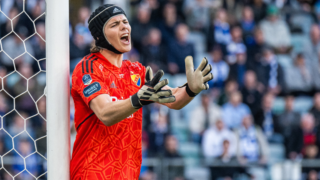 SPELARBETYGEN efter krysset på Gamla Ullevi