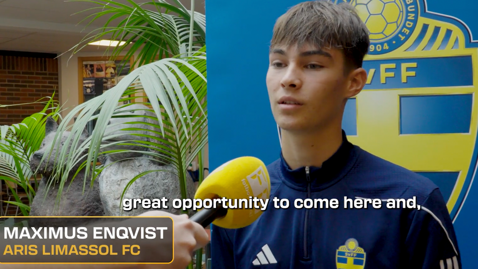 TV: Maximus Enqvist: ”Vinna VM med Sverige”