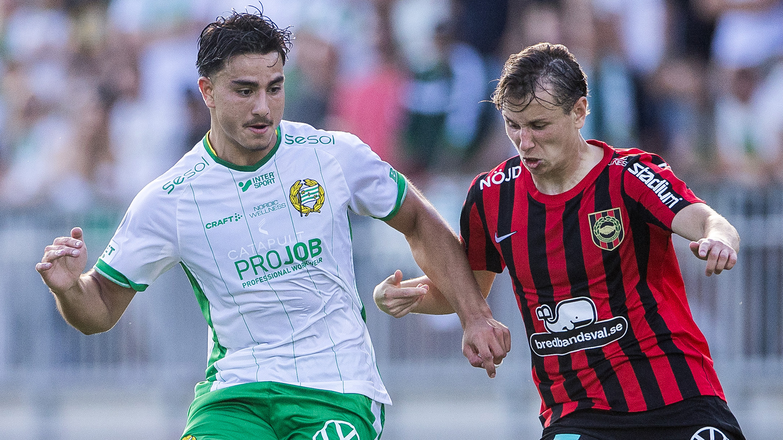 Grönvit glädje på Grimsta – Hammarby slog Brommapojkarna i Stockholmsderbyt