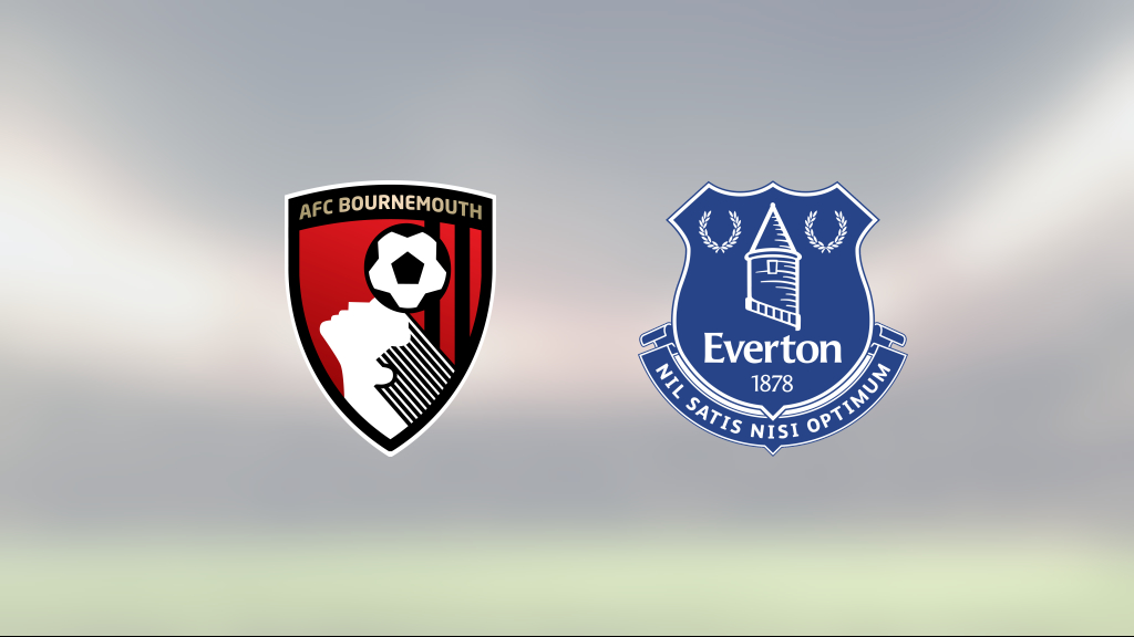 David Brooks gjorde avgörande målet för Bournemouth mot Everton