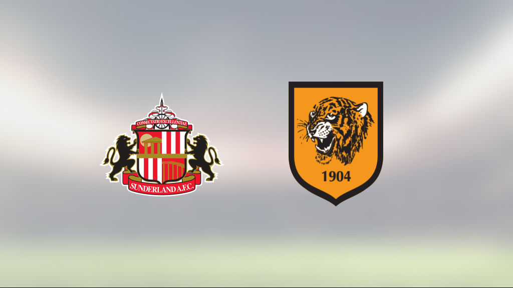 Hull knep segern i målmässigt jämn match mot Sunderland