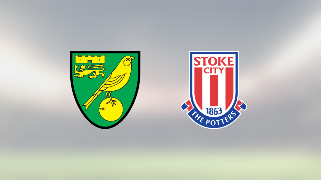 Norwich City vann mot Stoke City – Josh Sargent blev matchvinnare