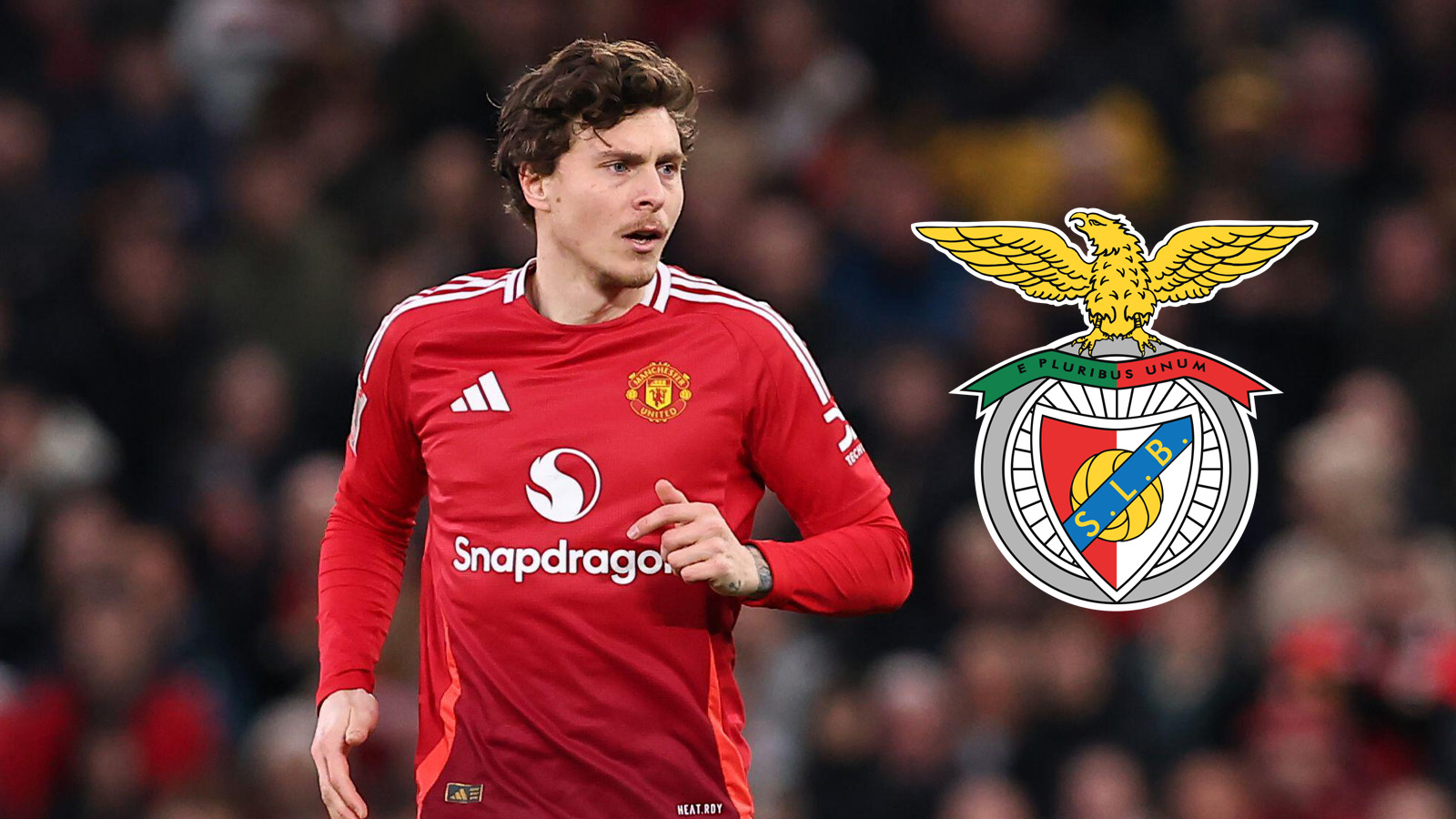 Uppgifter: Benfica intresserade av Nilsson Lindelöf