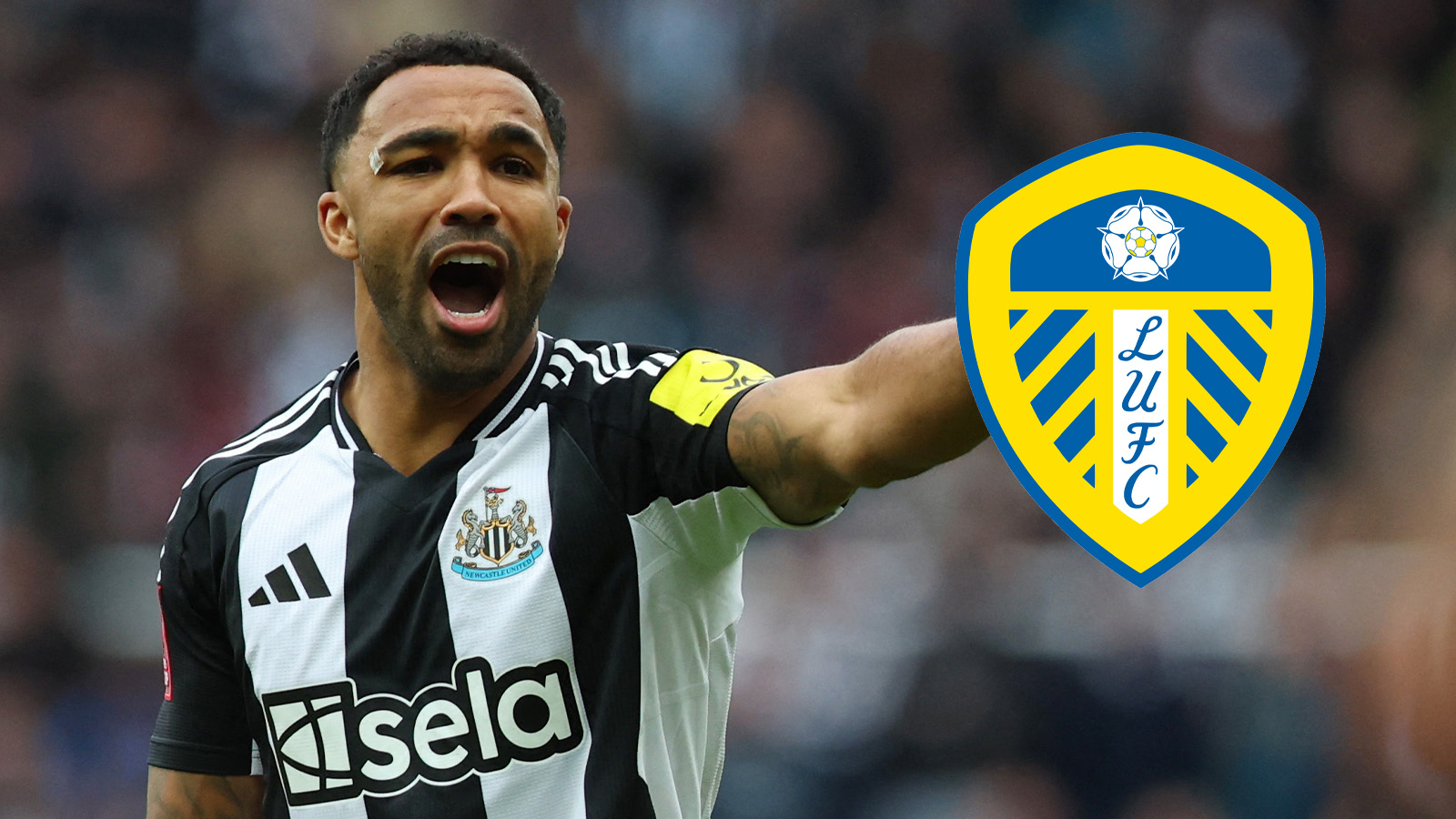 Uppgifter: Leeds kan värva gratis från Newcastle