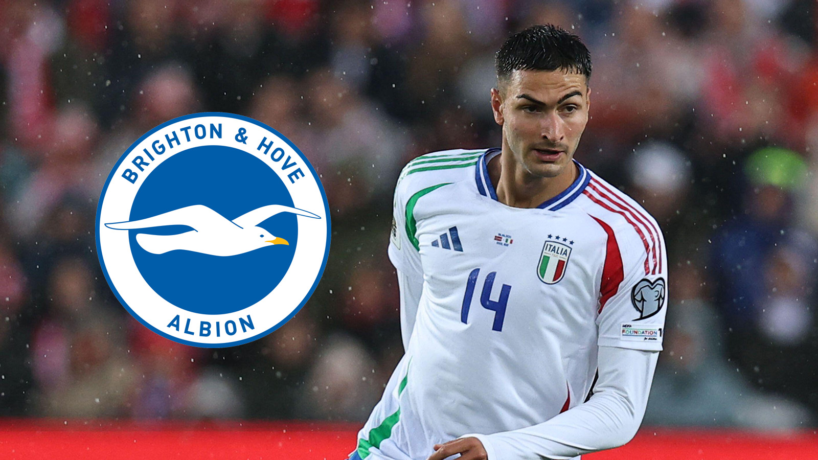 Officiellt: Brighton värvar Coppola från Hellas Verona