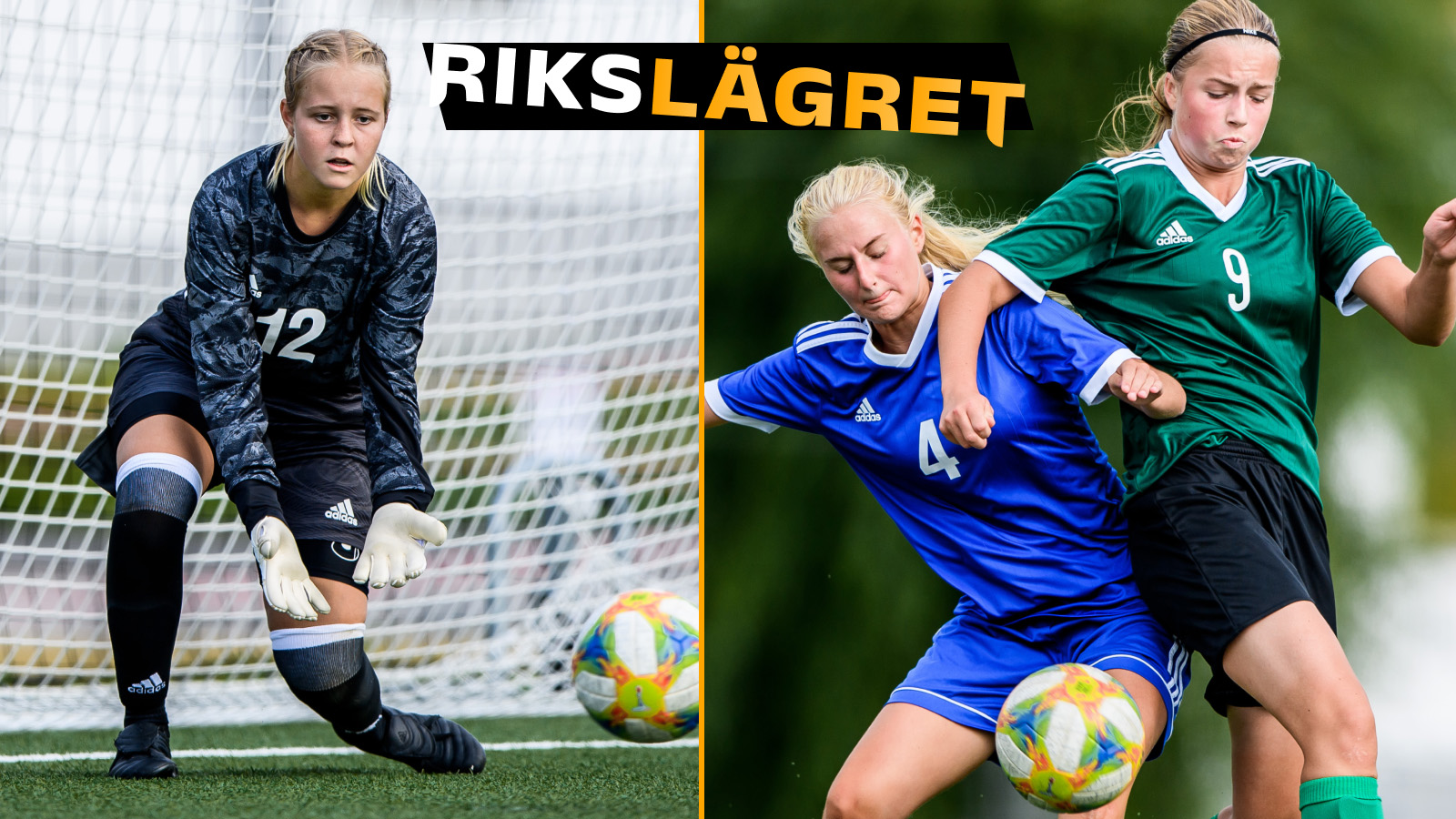 RIKSLÄGRET FLICKOR 2010 – Målvakter och försvarare