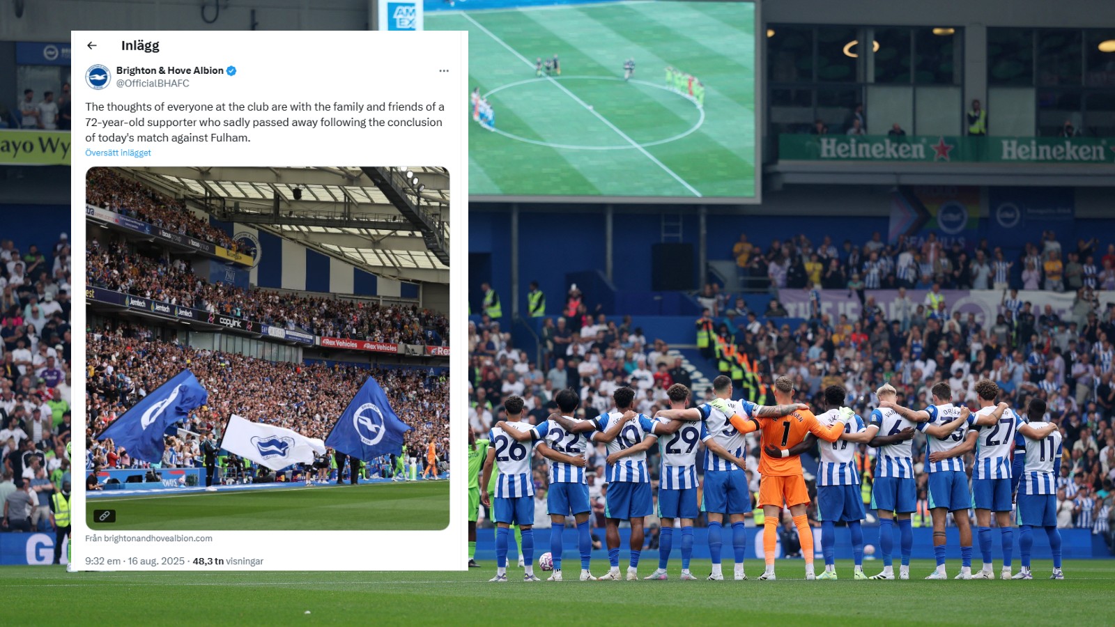Brighton i sorg – supporter dog efter premiären