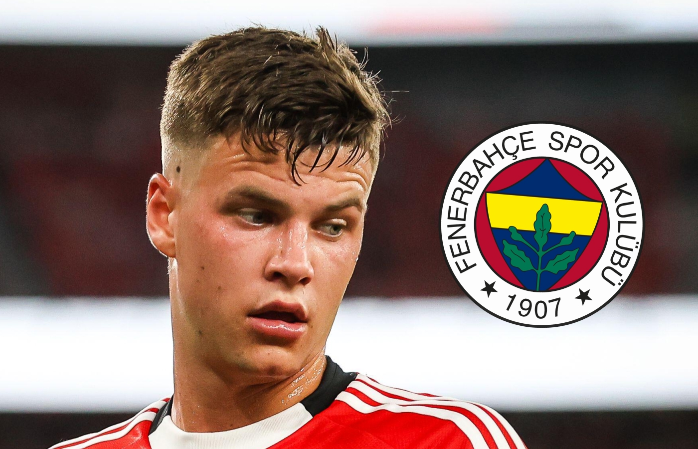 Helt jämnt mellan Samuel Dahls Benfica och Fenerbahce