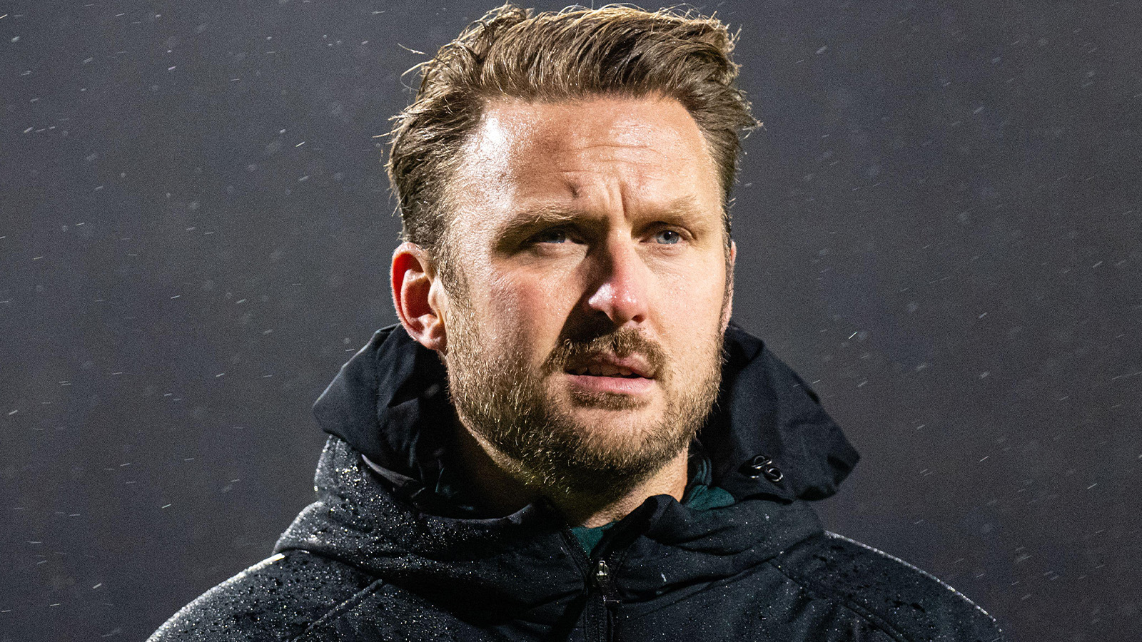 Klart: Hamberg återvänder till Brighton