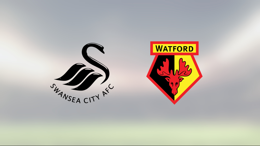 Zan Vipotnik poängräddare för Swansea City mot Watford