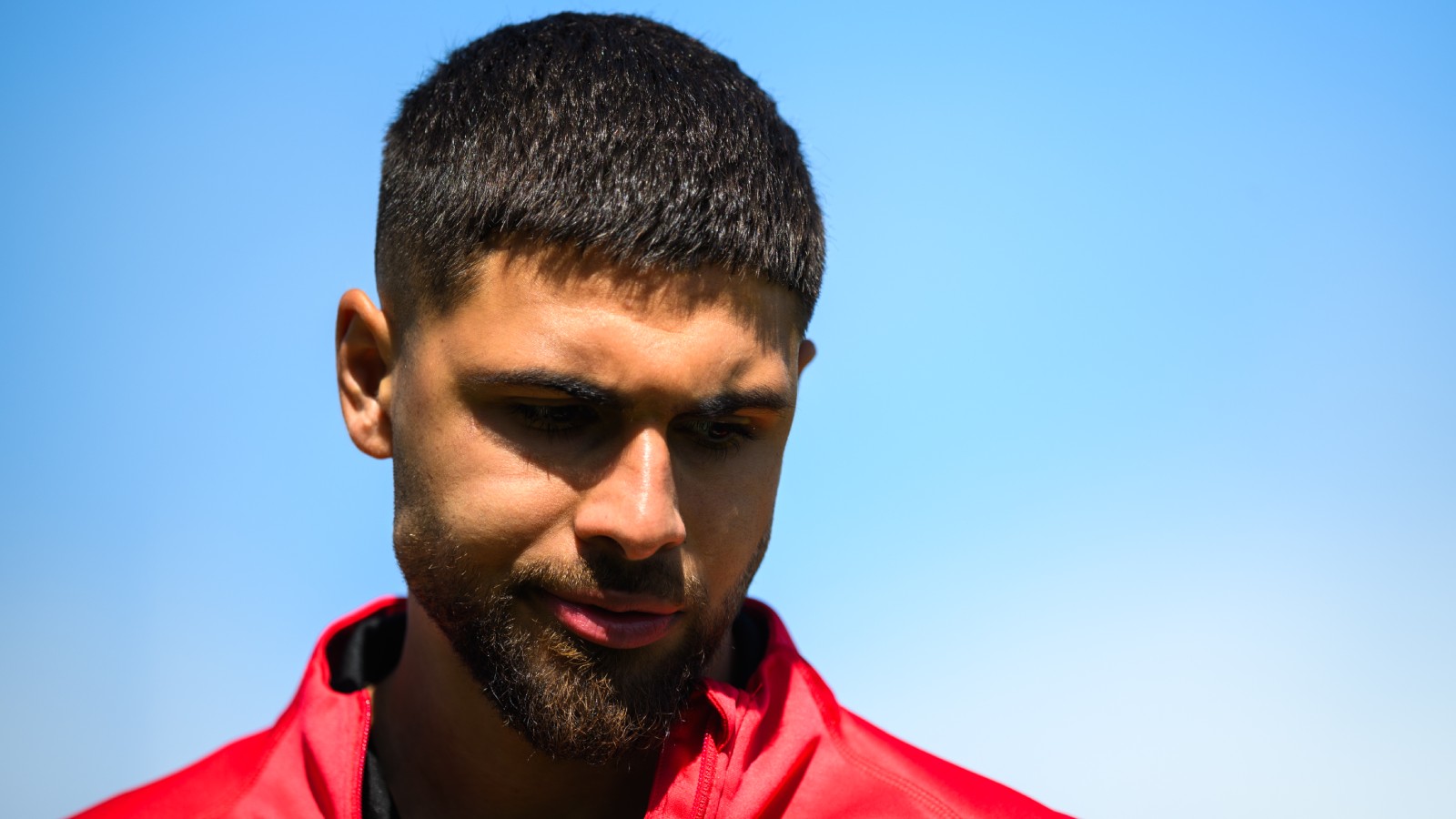 Uppgifter: Reapriset på Omar Faraj