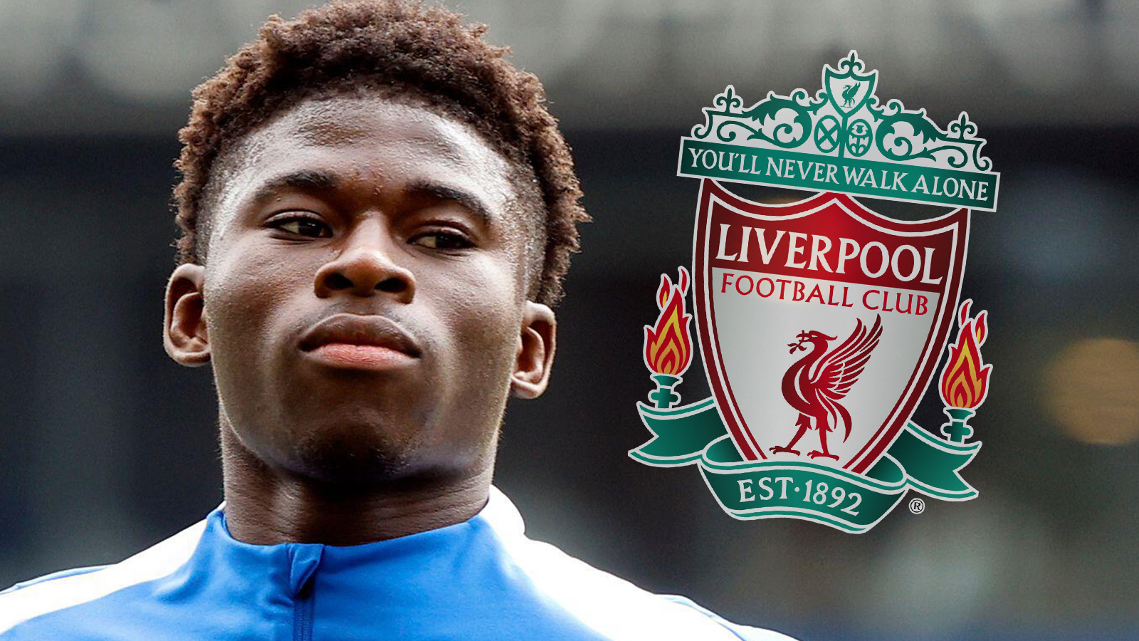 Uppgifter: Liverpool utmanar om Brighton-succén