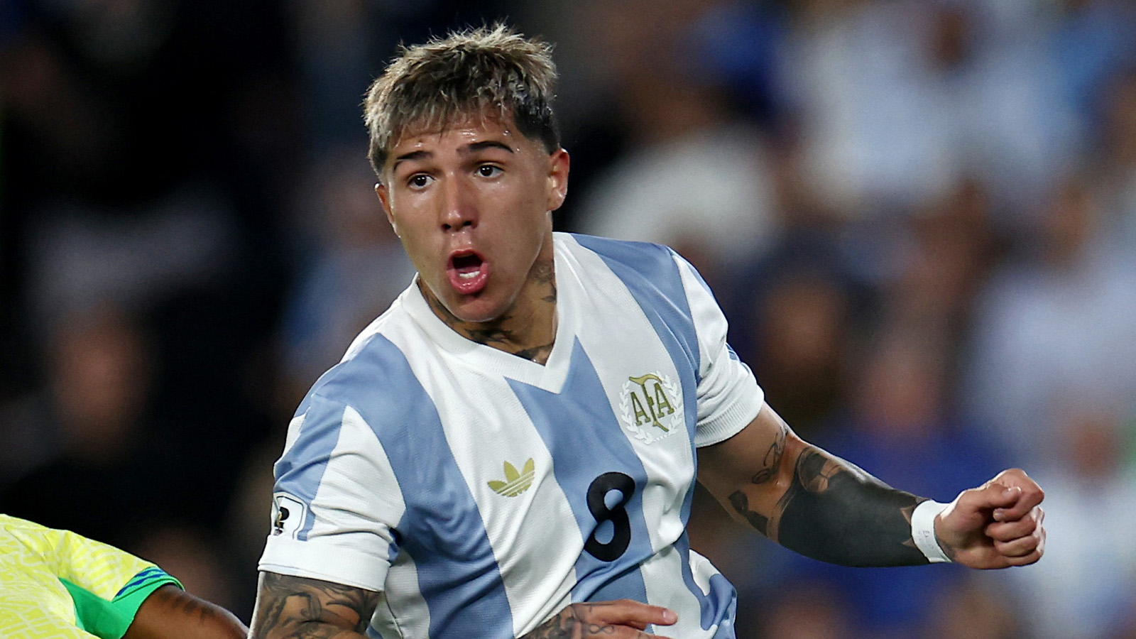 Fernandez lämnar Argentinas samling med knäproblem