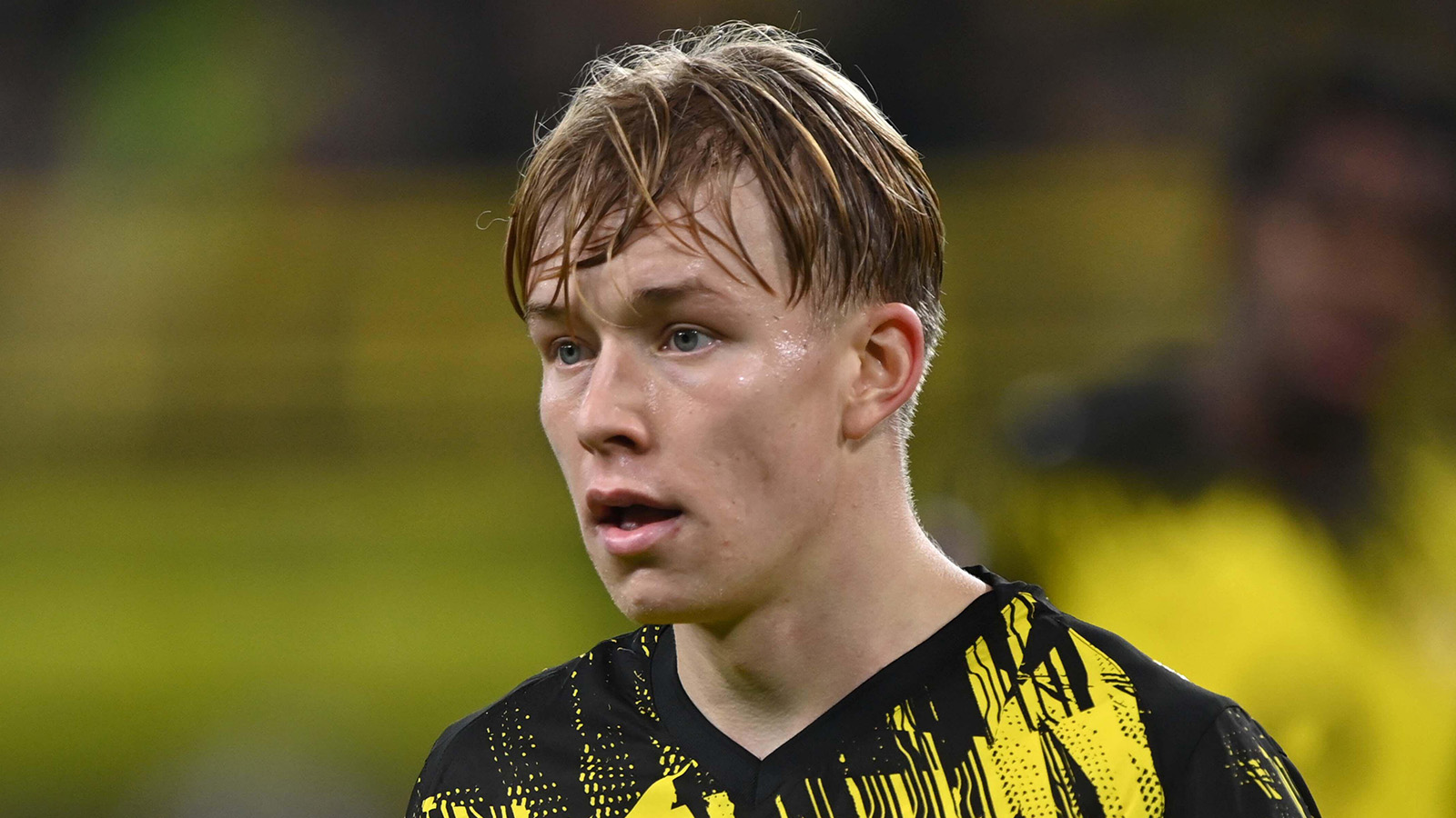 JUST NU: Daniel Svensson på bänken för Dortmund