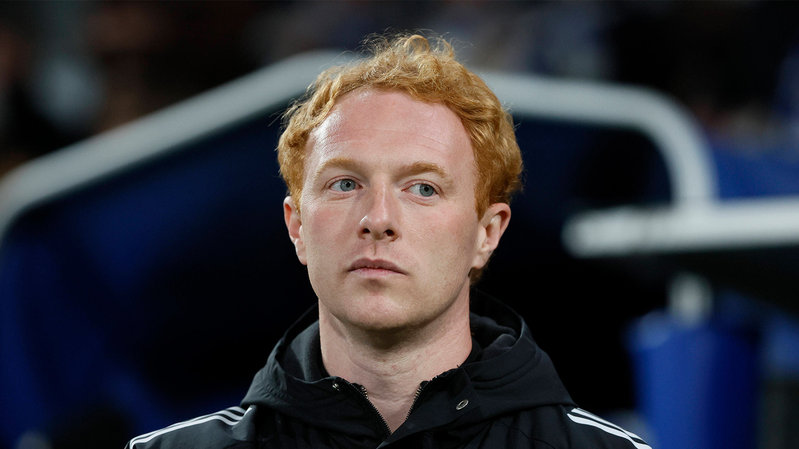 Officiellt: Grieve ny manager för Helsingborgs IF