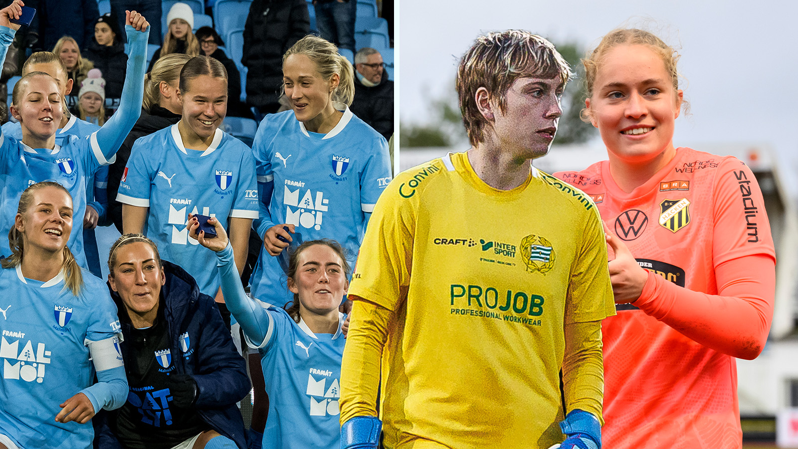 STAFHAMMAR: ”Nykomlingarnas raketsäsong – och målvakternas år”