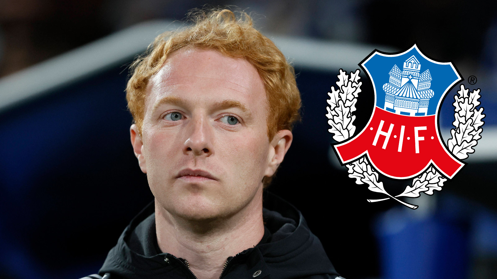 Officiellt: Grieve ny manager för Helsingborgs IF