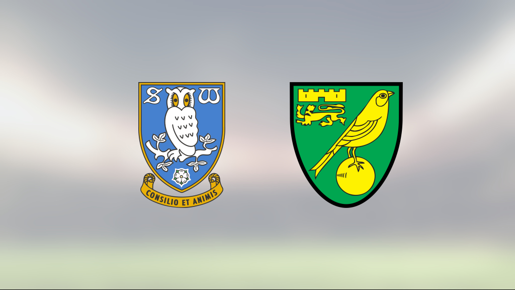 Förlustsviten bruten för Norwich City – efter 1–1 mot Sheffield Wednesday